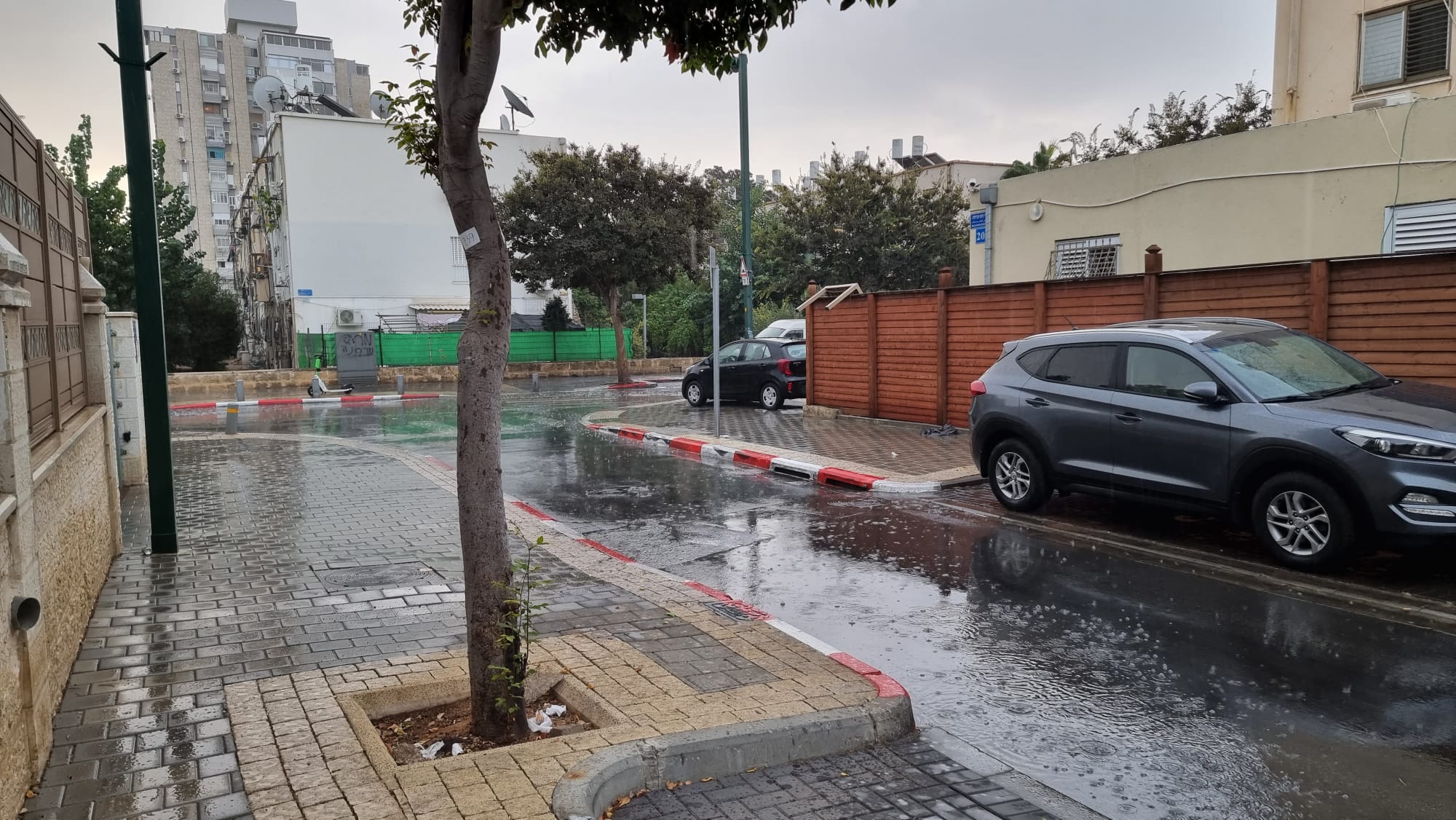 WhatsApp Image 2022-10-26 at 8.27.57 AM.jpeg